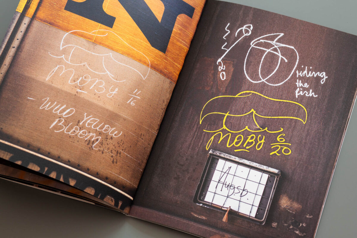 MOBY – Expect Anything