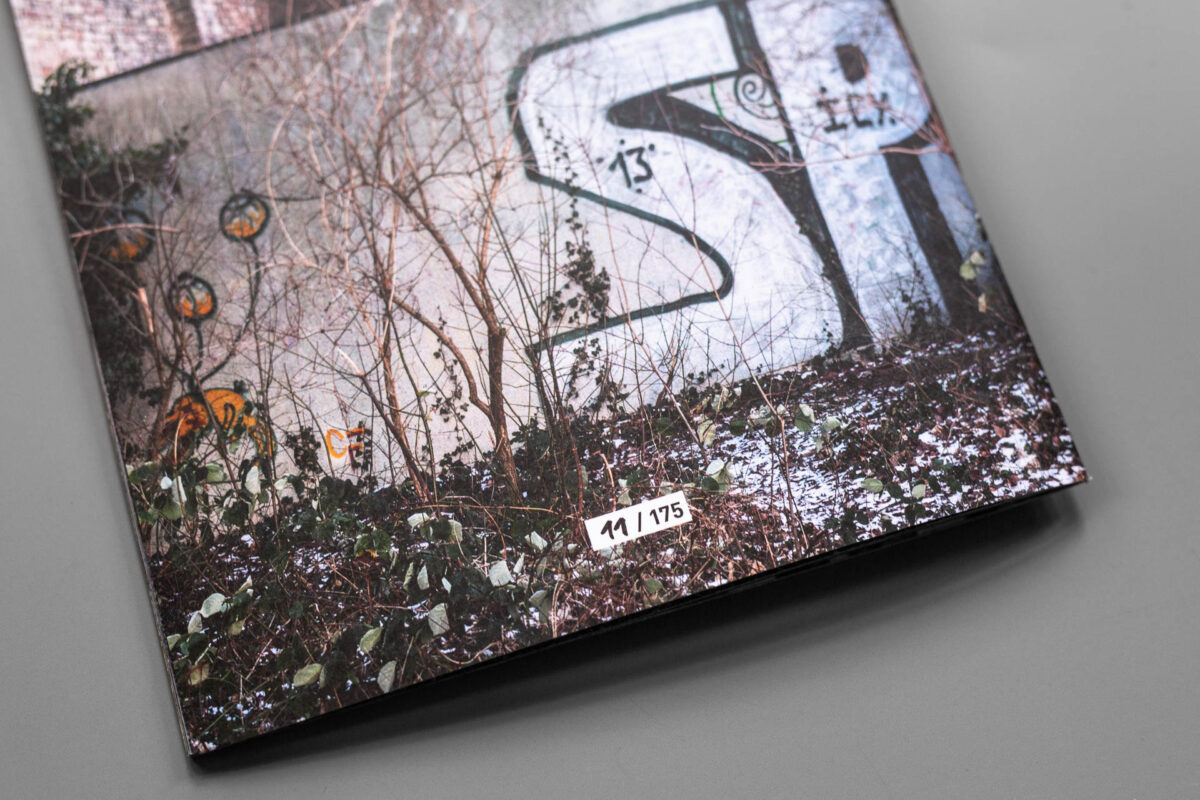 Emmett Edelstein // 2017