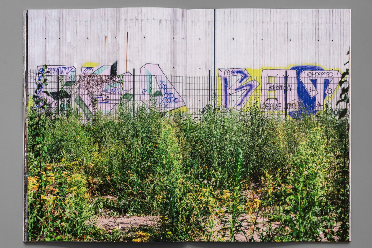 Emmett Edelstein // 2015