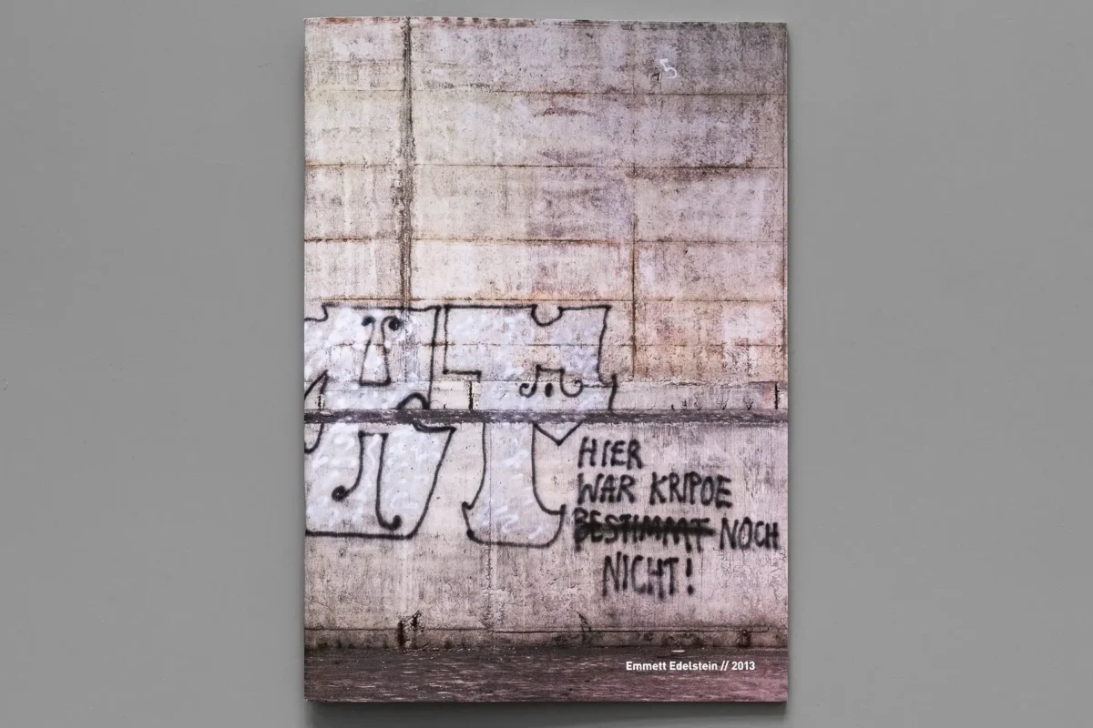 Emmett Edelstein: 2013